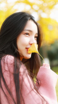 热门推荐内容展示